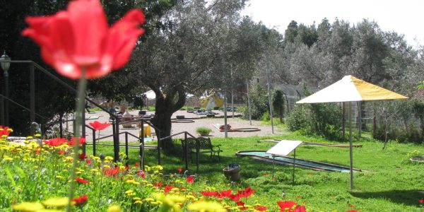 מיני גולף פרוד גלאטרוול (1)